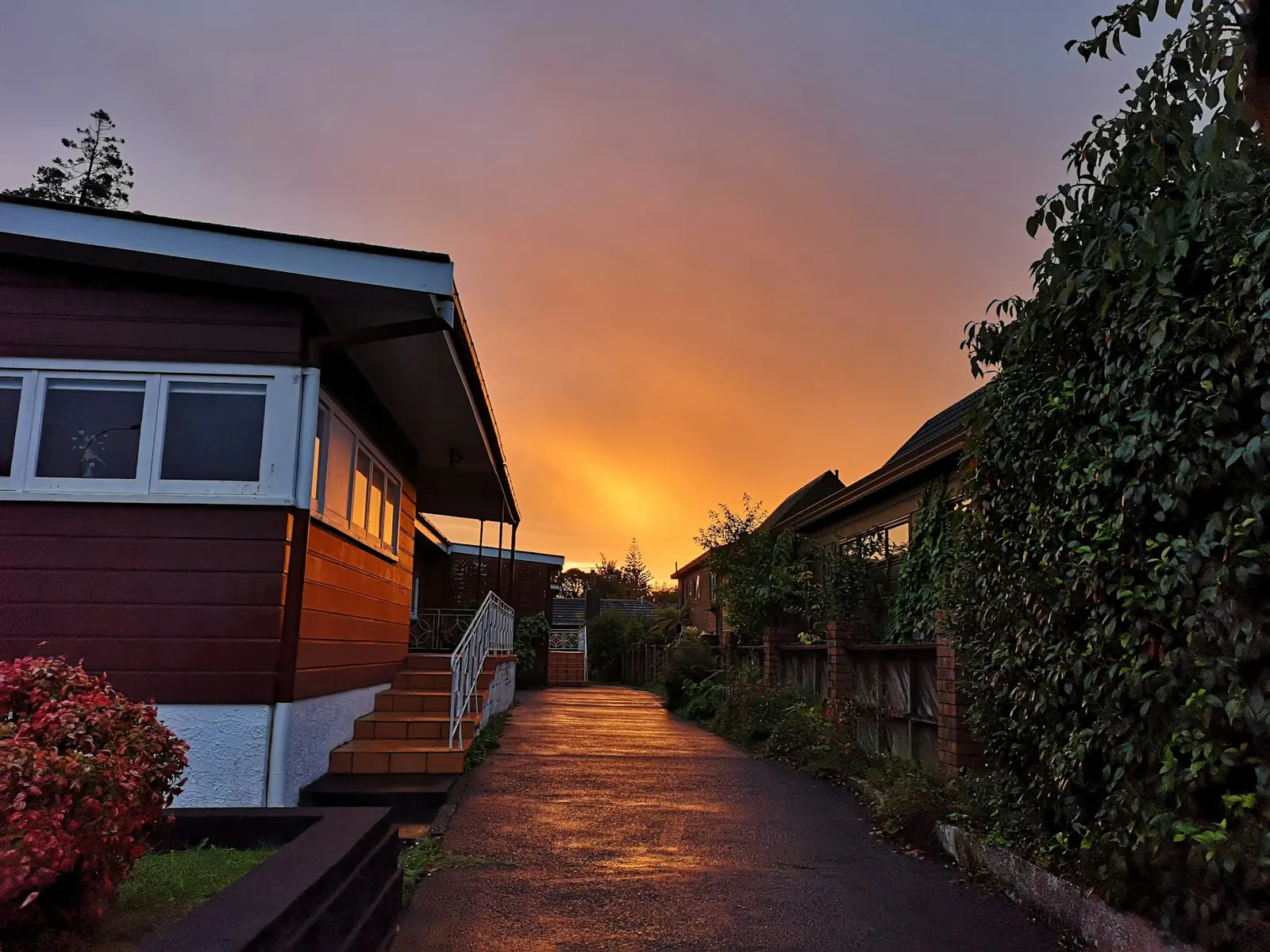 A quiet street of houses under a glowing early sky